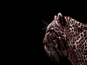 Perfil de un leopardo