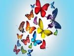 Conjunto de mariposas