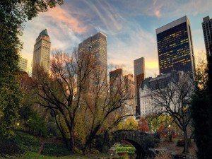 Postal: Edificios de Nueva York vistos desde el parque