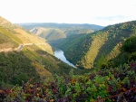 El río Sil en Galicia