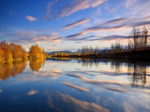 Árboles y cielo reflejados en el lago