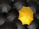 Varios paraguas negros y uno amarillo