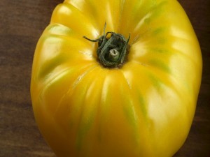 Postal: Un tomate verde