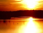 Fuerte reflejo del sol en el lago
