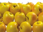 Dulces manzanas amarillas