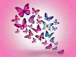 Conjunto de mariposas en fondo rosa