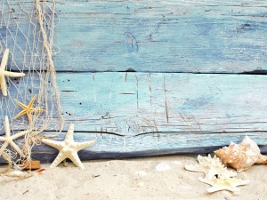 Estrellas de mar en la arena