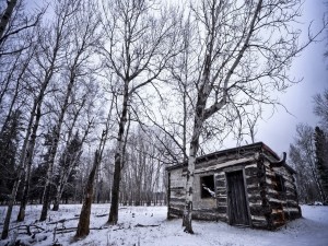 Cabaña de madera en el frío bosque