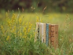Libros sobre la hierba