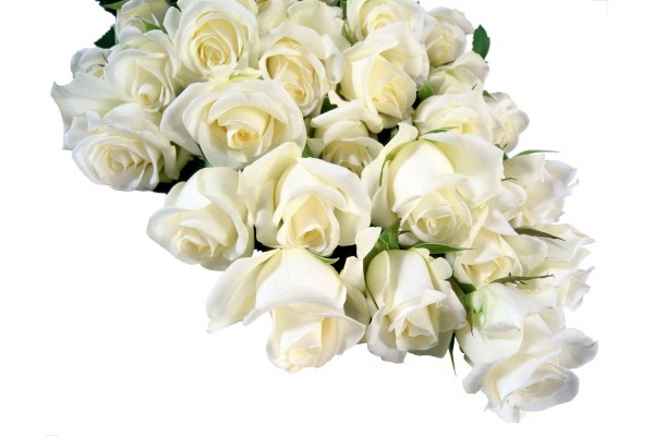 Ramo original de rosas blancas