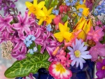 Flores de llamativos colores