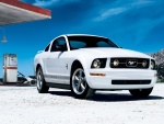 Mustang blanco en una gasolinera