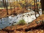 Un río visto en otoño