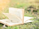 Un libro y gafas sobre la hierba