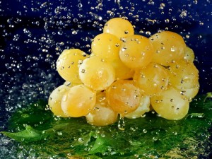 Postal: Gotas de agua sobre un racimo de uvas