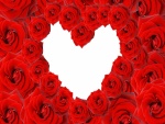 Corazón blanco entre rosas rojas