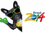 Divertido perro con el logo del Mundial Brasil 2014