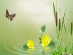 Mariposa, flores y cañas en un estanque