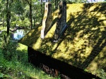 El tejado de la casa cubierto de musgo