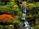 Una cascada vista en otoño