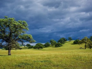 Postal: Nubes sobre un paisaje verde