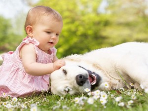 Una hermosa niña jugando con su perro