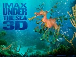 Bajo el Mar 3D Imax