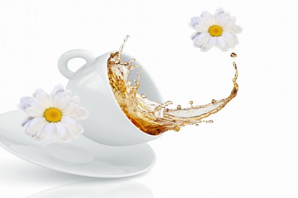 Taza de té y margaritas blancas