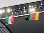 Banderas de México y Camerún en el partido del Mundial 2014