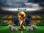 Balones adidas brazuca y trofeo del Mundial de Fútbol Brasil 2014