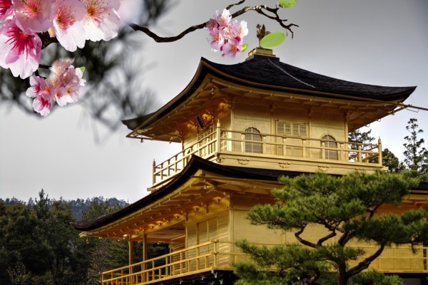 Templo del Pabellón de Oro (Japón)