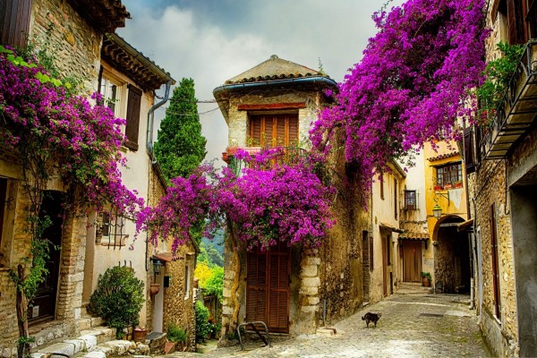 Casas de un pueblo adornadas con flores lilas