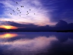 Pájaros volando al amanecer