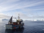 El barco Ane-Anna Ilulissat, en las aguas de Groenlandia