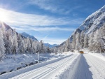 Carretera y árboles cubiertos de nieve