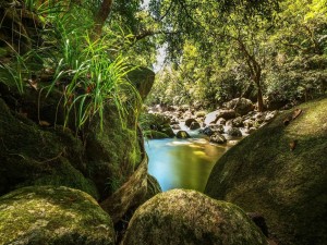Postal: Río y rocas en la selva
