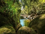 Río y rocas en la selva