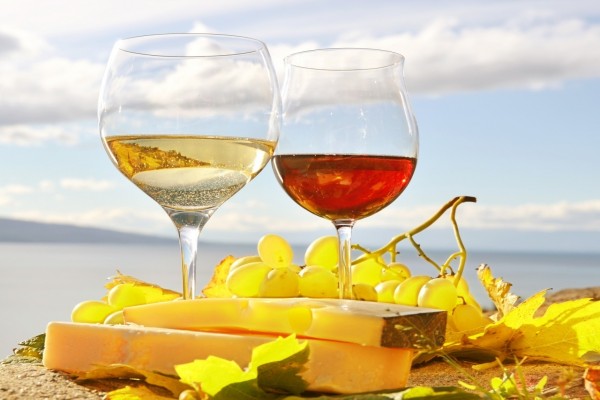 Copas de vino blanco y tinto acompañadas de queso y uvas