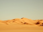 Arena y dunas del desierto