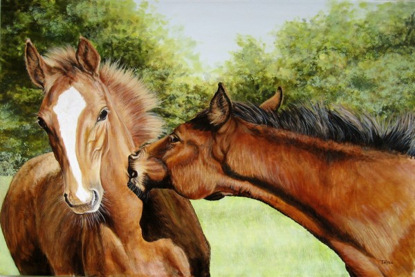 Bonito cuadro con dos caballos