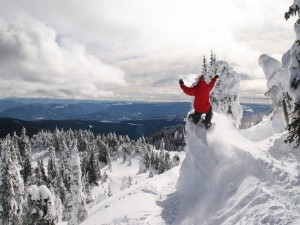 Postal: Snowboard en nieve virgen