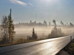 Niebla cerca de la carretera