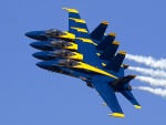 Desfile de aviones "Blue Angels"