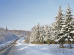 Una solitaria carretera helada