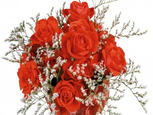 Postal: Ramo con rosas rojas y unas pequeñas flores blancas
