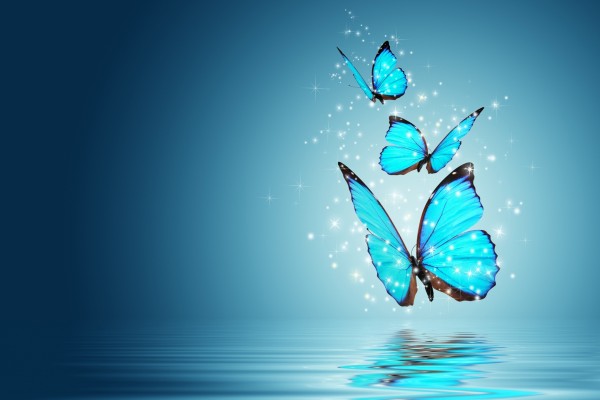 Tres mariposas azules sobre el agua