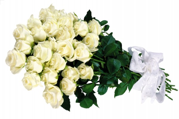 Ramo de rosas blancas con un lazo blanco