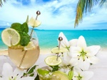 Bebidas frescas y flores junto al mar