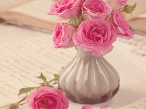 Postal: Florero con elegantes rosas de color rosa