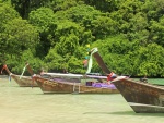 Barcos de pesca en una zona tropical
